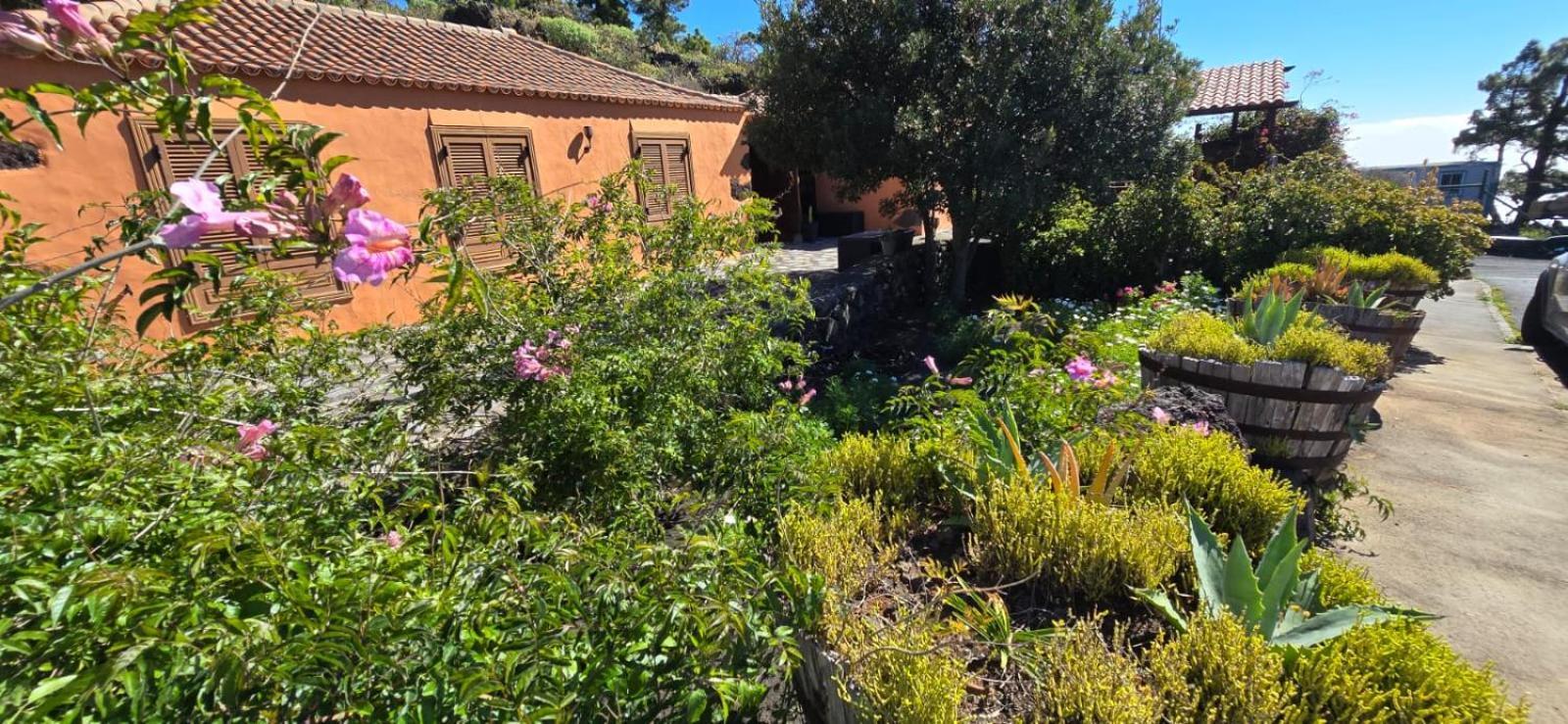פואנקאליינטה דה לה פלמה Vivienda Vacacional El Lagar, Bodega A מראה חיצוני תמונה